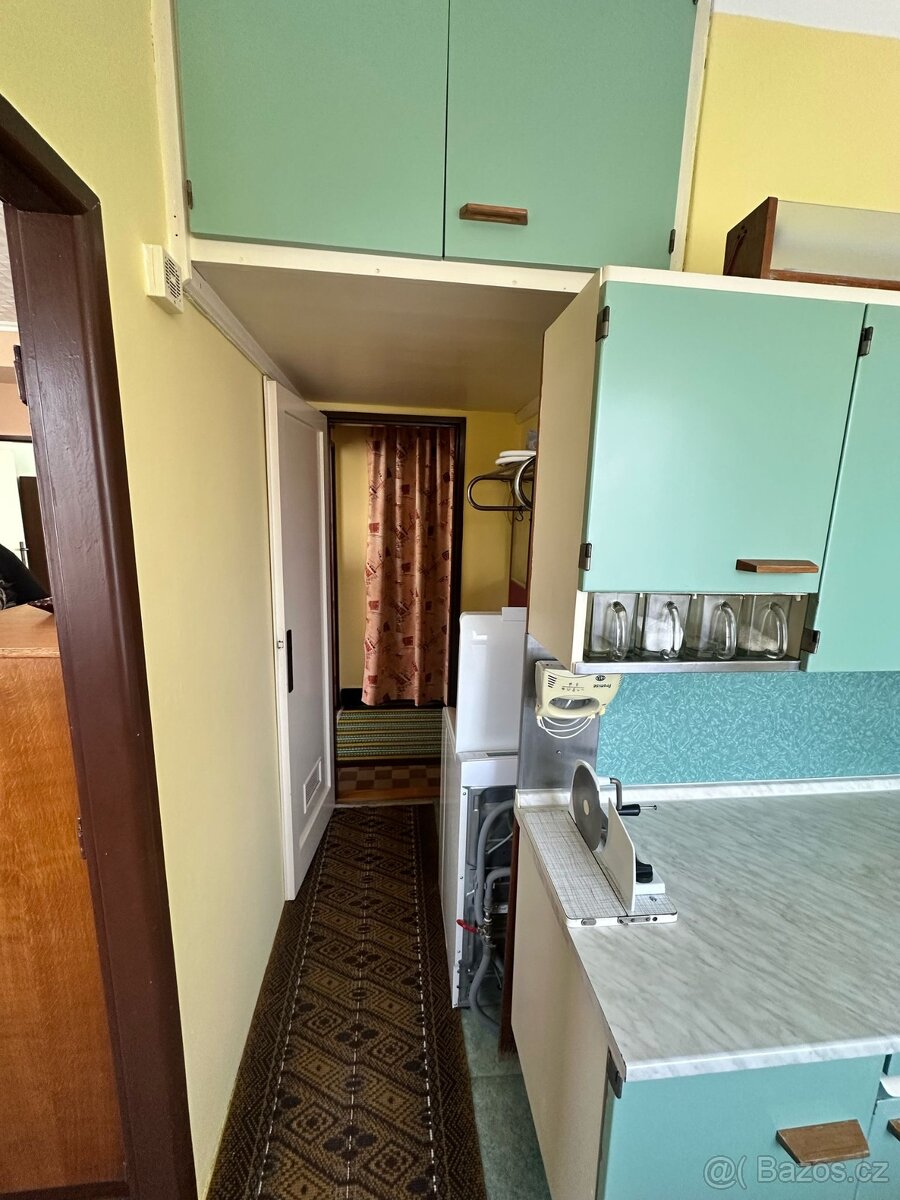 Zděný byt 2+1, 51m2 + garáž 17m2 - 13