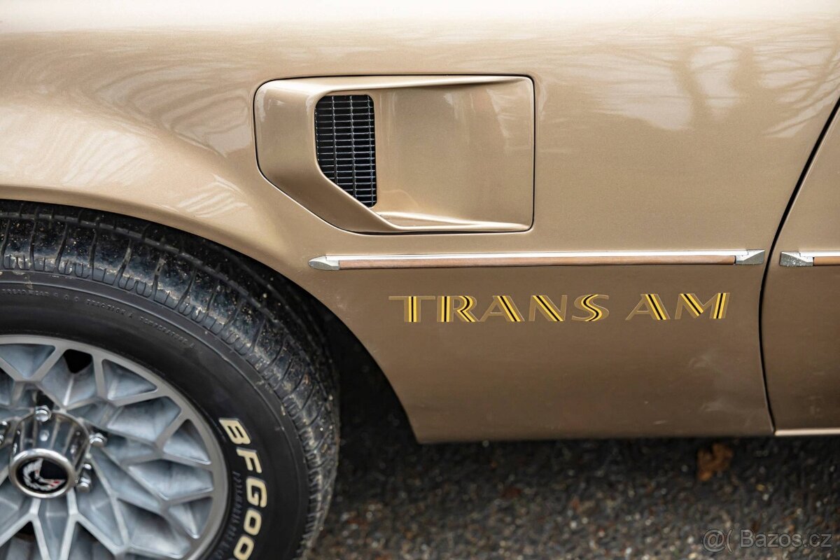 Pontiac Firebird 1977 - 13