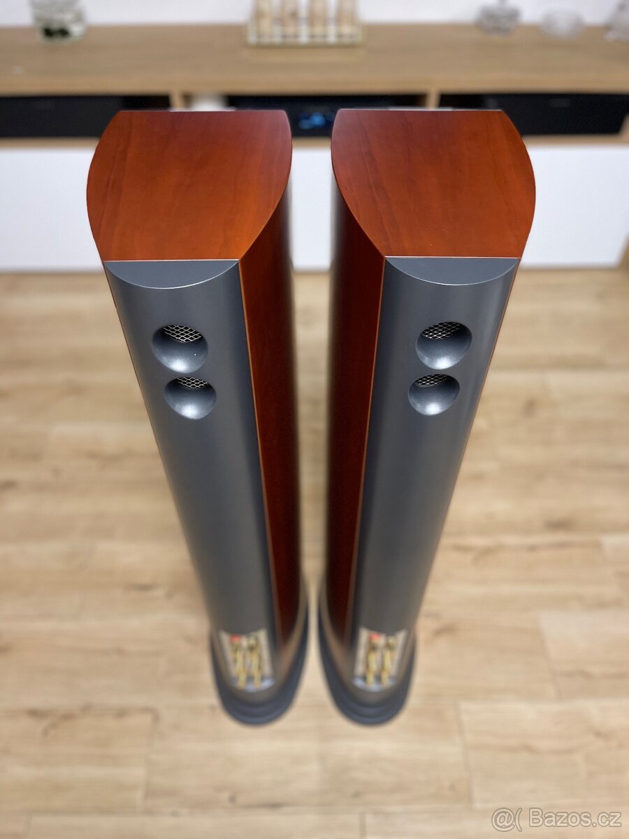 Audiovector SR3 Avantgarde - 13