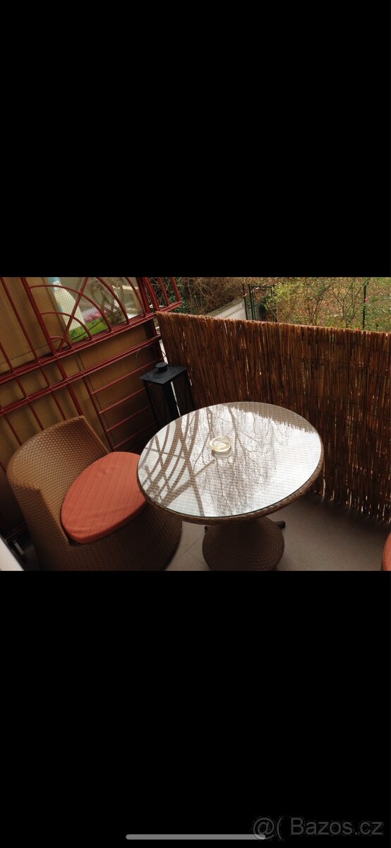 2+1 VINOHRADY, BALKON, CENTRUM - 13