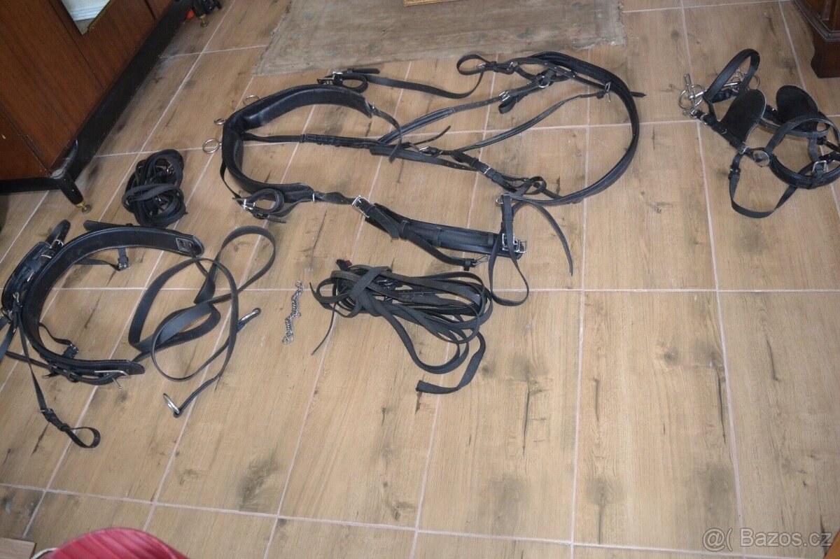 sulka riksa gig dvojkolka jako maratonak/morgan kone popruhy - 13