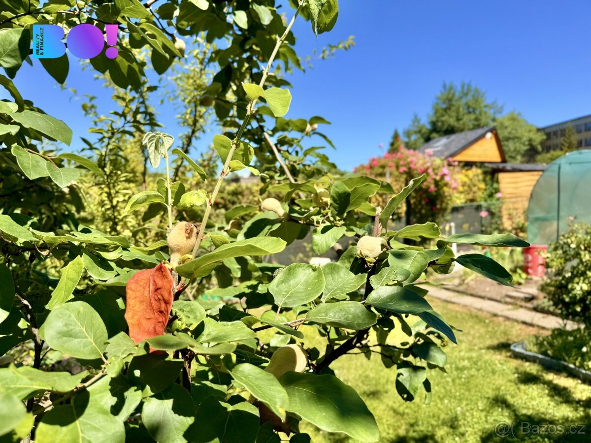 Prodej zahrady 180 m², Na Vyhlídce, Karviná - 13