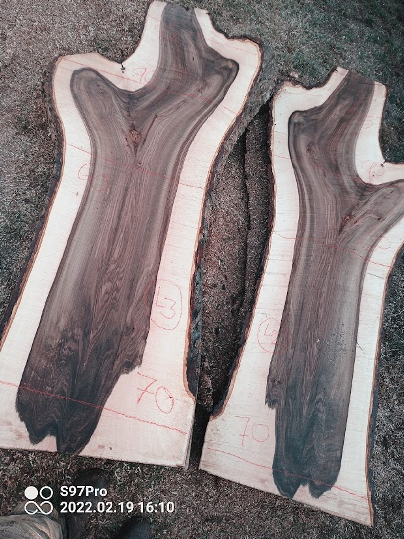 Super tmavé ořechové XXXL fošny a koláče - 13