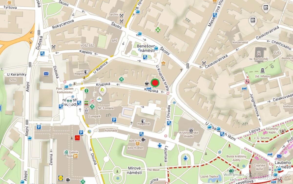 Pronájem prostorného podkrovního bytu 5+1, 171 m² – Krupská - 13