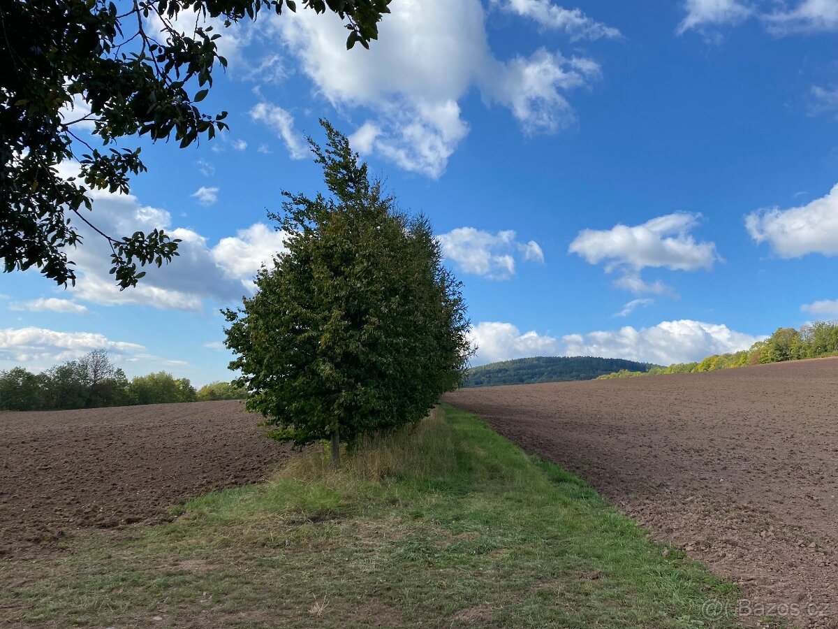 Lesní pozemek a pozemek ostatní plocha Horní Lánov - 13