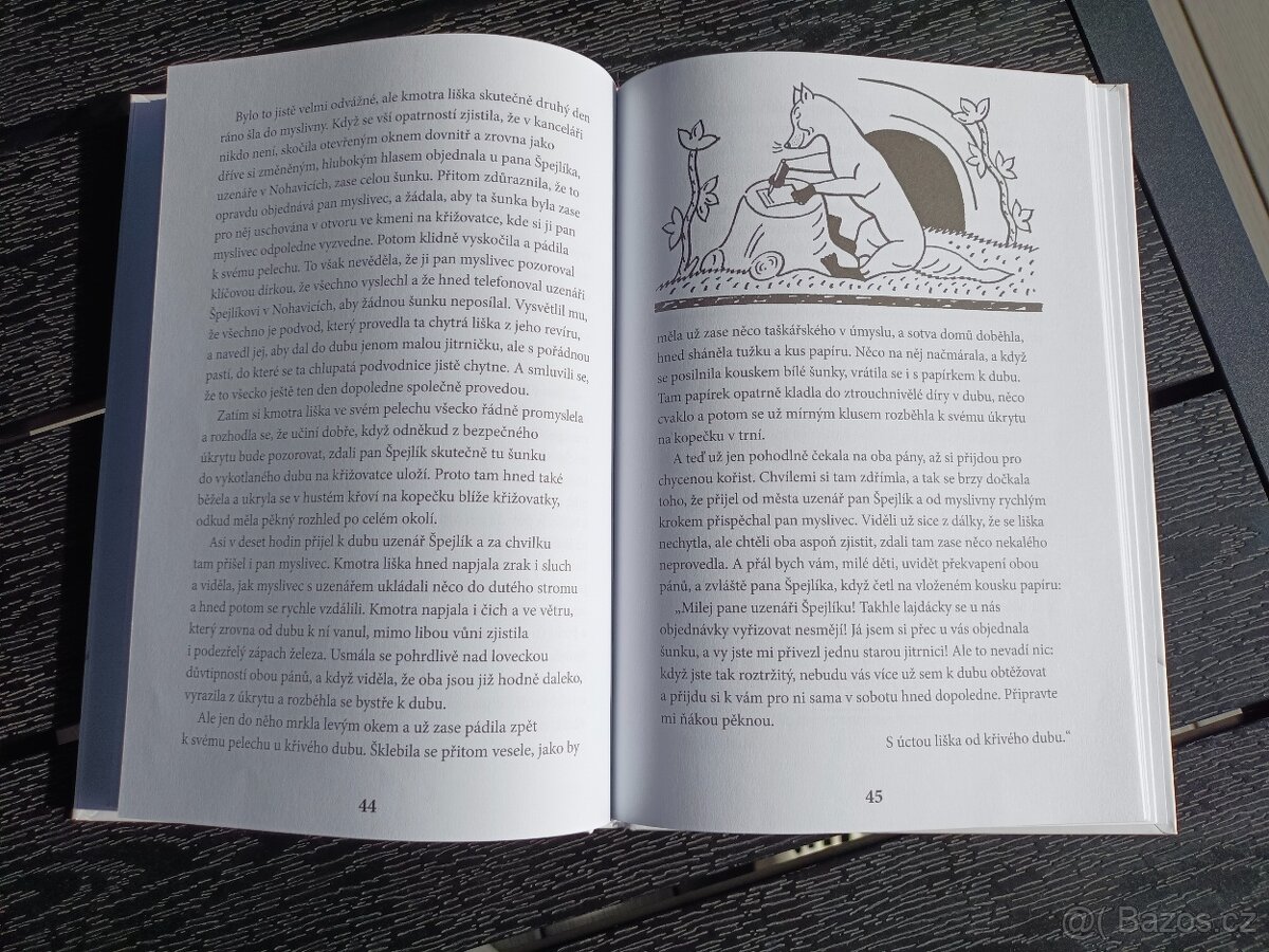 Dětská knížka, kniha - 13