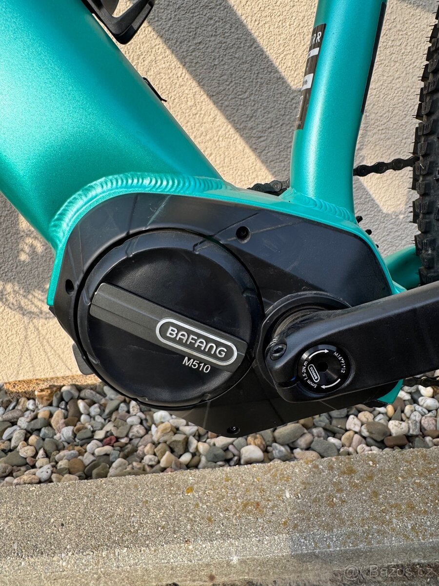 Pells Thorr 1 W - 13