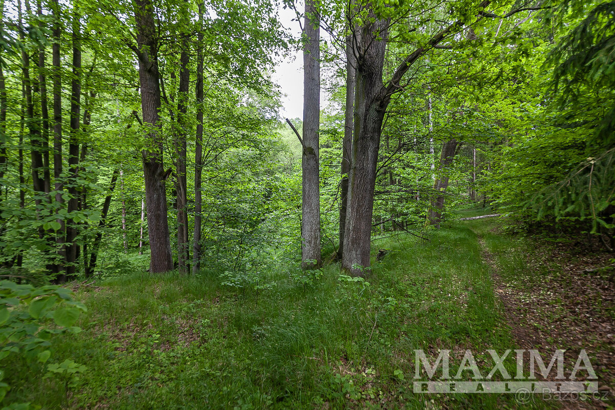 Pozemek o ploše 33624 m2 - Višňová, Předlánce - 13