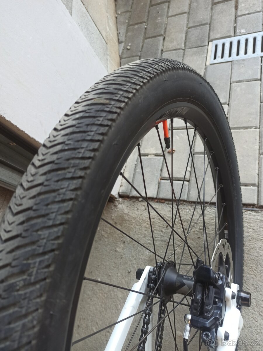 Commencal Absolut Pike 2025 - 13