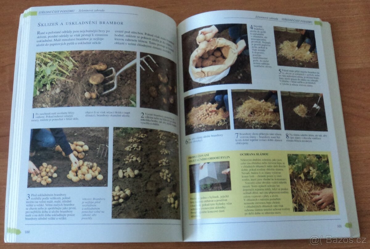 Zahrada Čtyři roční období / naše zahrádka - 13