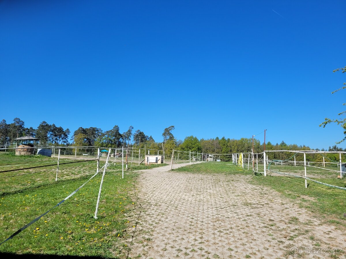 Ustájení 2 volné boxy - 13