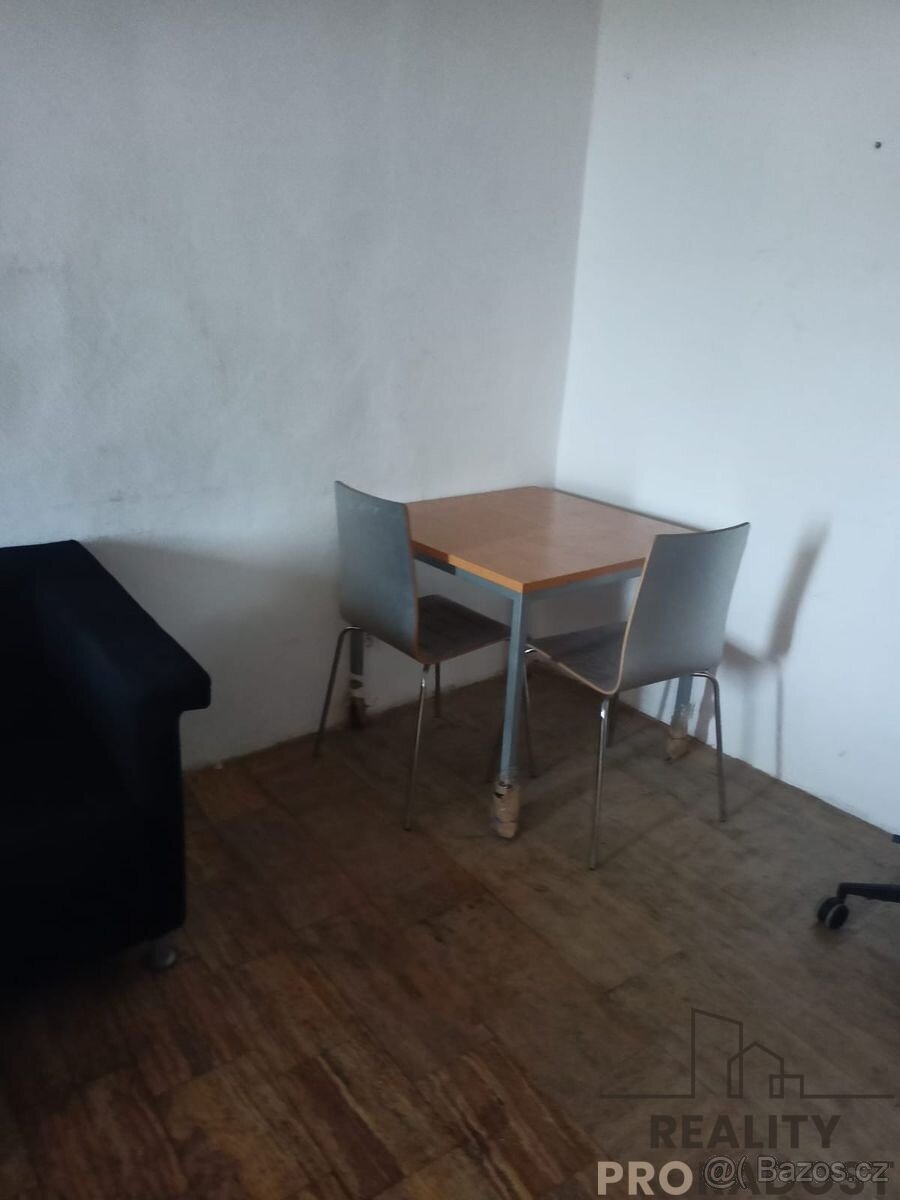 Pronájem bytu 1+kk 117m2 - Veselice - Vavřinec - 13