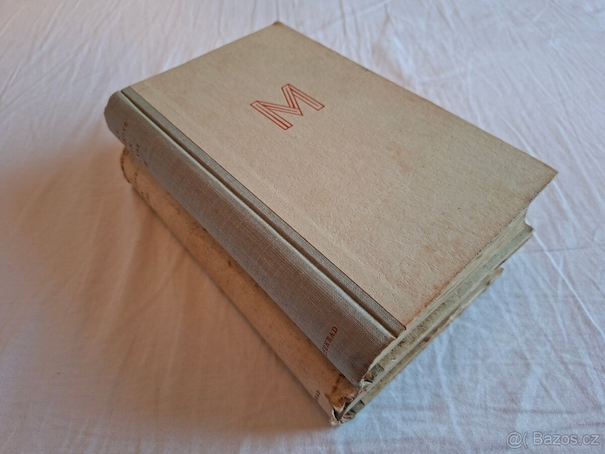 Rok na vsi kronika moravské dědiny - 13