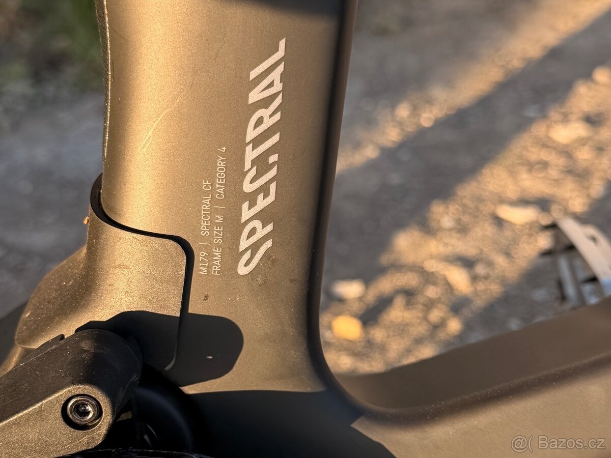 Canyon Spectral CF8 - 13