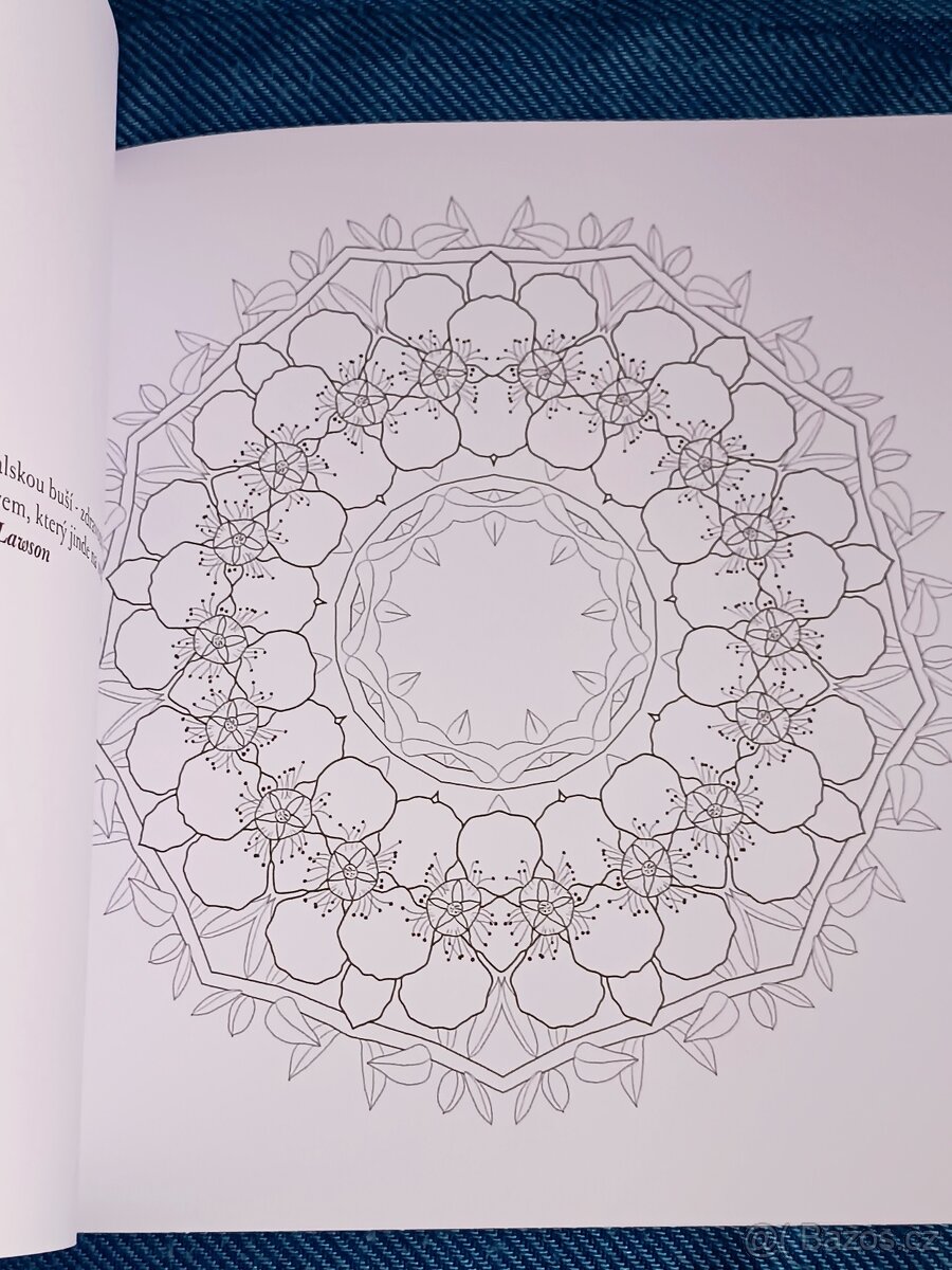 Omalovánky pro dospělé: Inspirativní a ............. - 13
