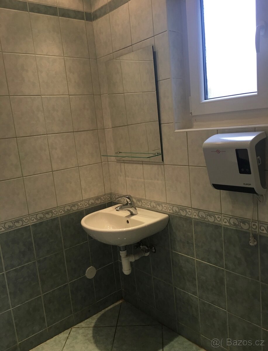 Pronájem rodinného domu - 13