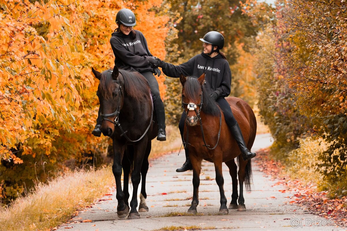 Pronajem pony kobylky - 13
