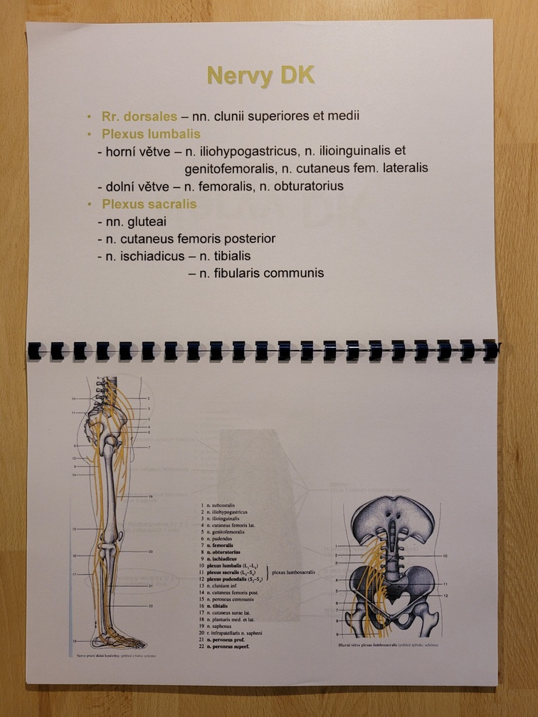 Materiály pro studium medicíny - 13
