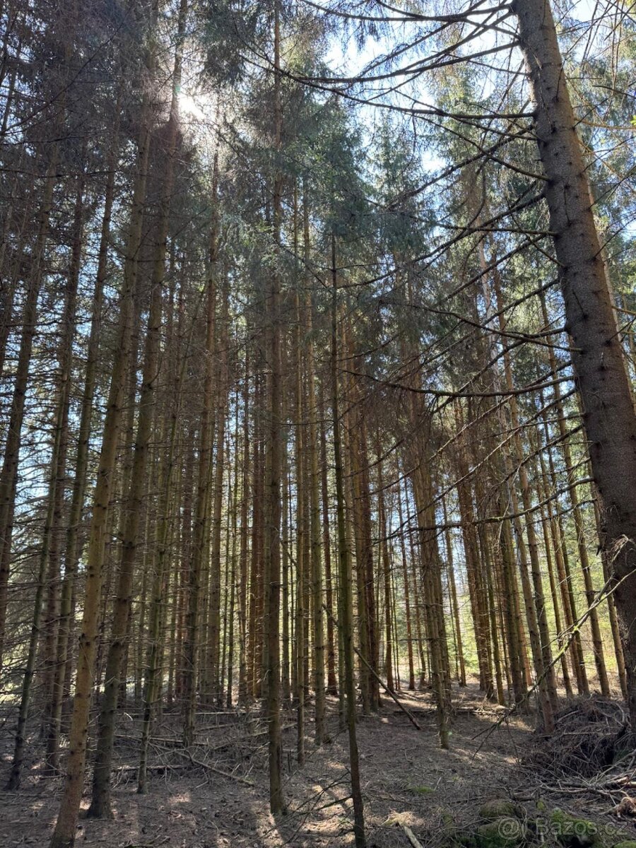 Prodám pozemky v k.ú. Horní Bolíkov - 13