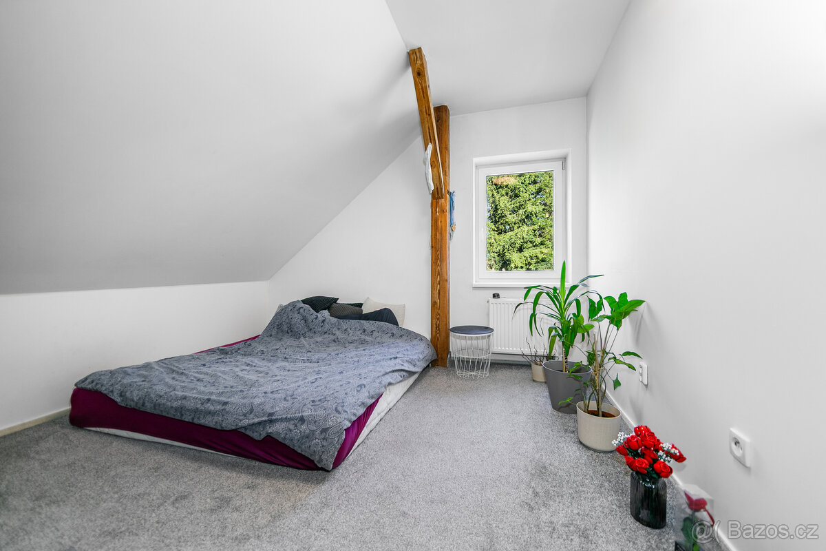 Rodinný dům Medový Újezd 802m2 - 13