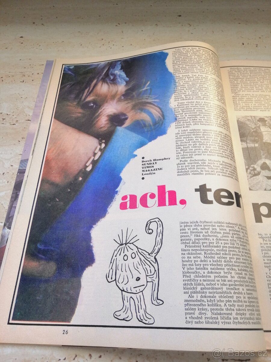 Časopis 100 +1 - 13