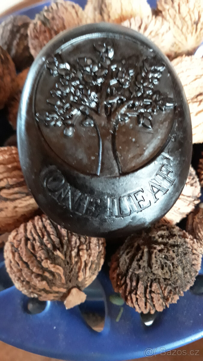 Ořech černý sazenice."Orech čierny - Kotora" - 13