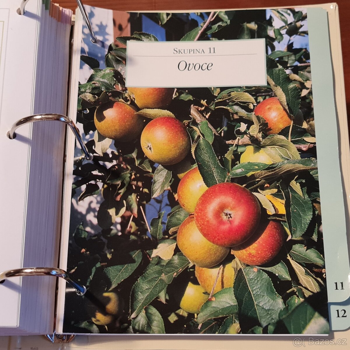 ZAHRADA PRO RADOST - 13