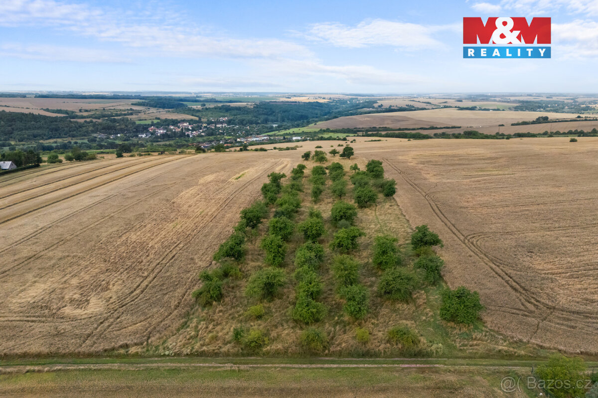 Prodej ovocného sadu, 5202 m², Kralupy nad Vltavou - 13