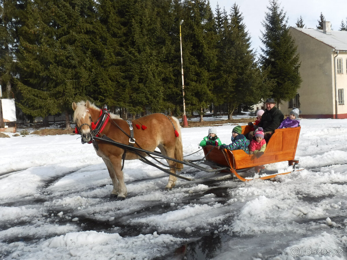 SÁNĚ A VŮZ ZA KONĚ - prodám - 13