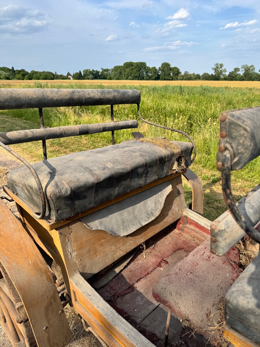 Koňská bryčka - 13