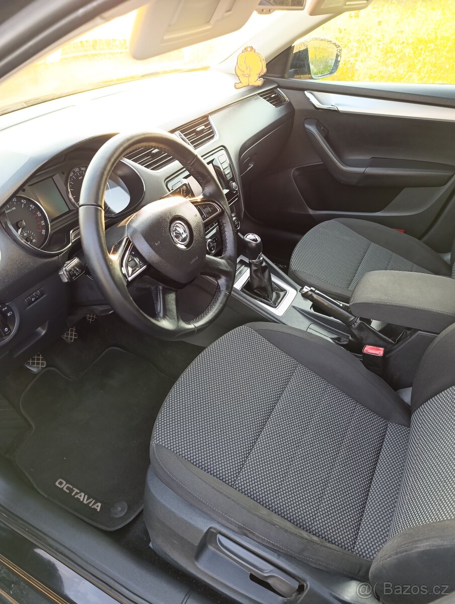 Octavia - 13