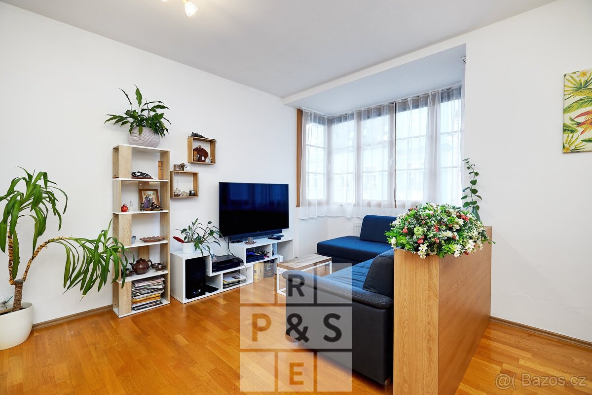 Pronájem, Byty 2+kk, o velikosti 56m² a sklepní koje 5,3m² - 13