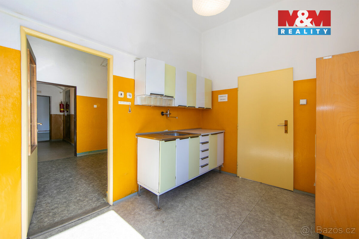 Pronájem výrobního objektu, 918 m², Přeštice - 13