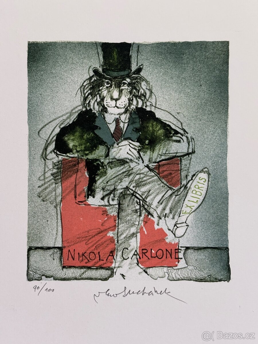 Vladimir Suchanek - 13