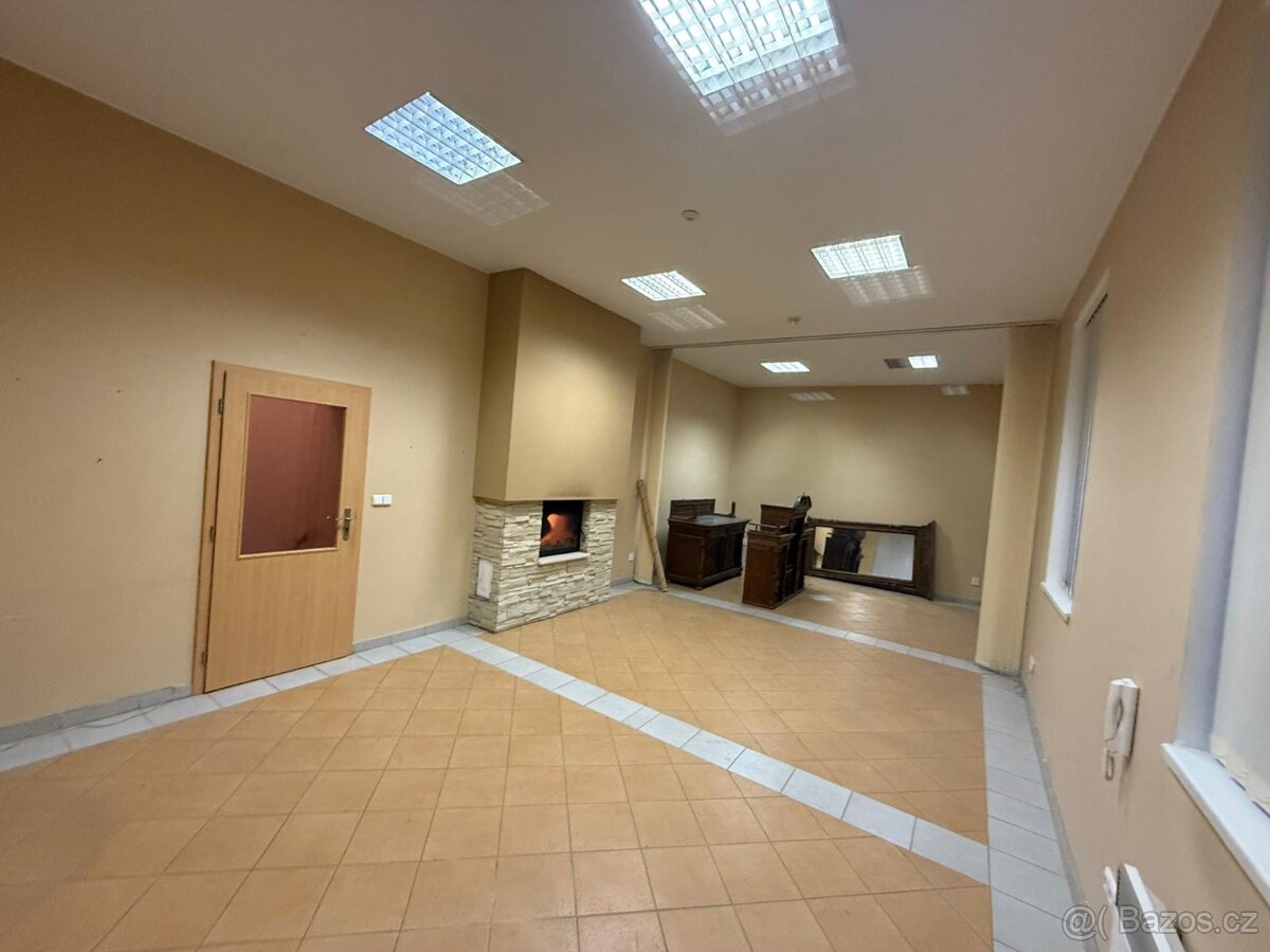 Bzenec-prostory k pronájmu - 13