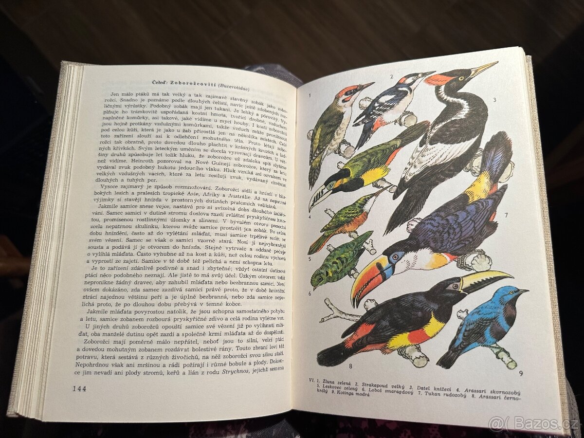 Světem zvířat - 13