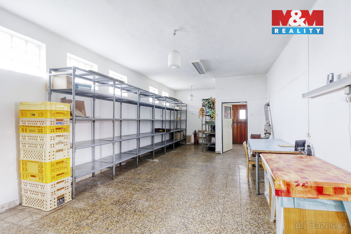 Prodej obchod a služby, 115 m², Žinkovy - 13