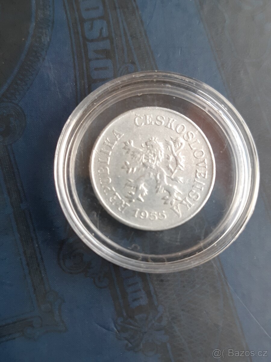 5 haliernik 1955 - 13