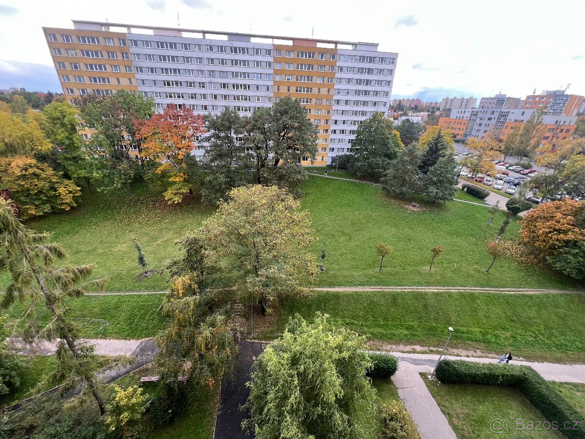 Ihned volné Zrekonstruované 1kk/L, 42m2, v Krči, Murgašova - 13