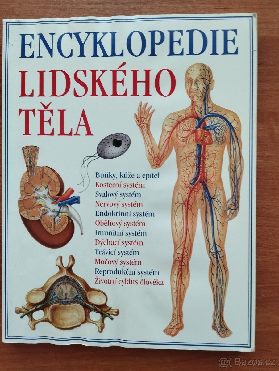 Beletrie. Encyklopedie - 13