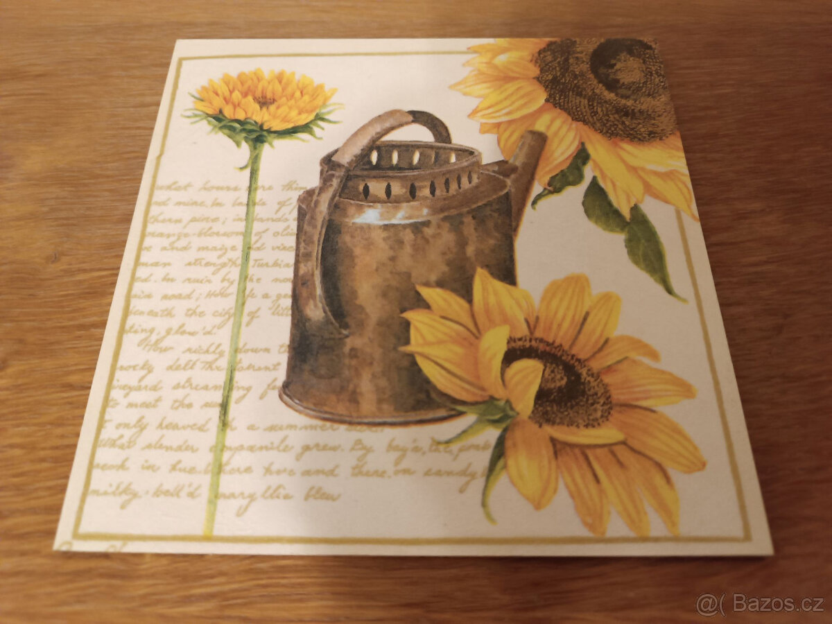 Obrázky a rámečky - 13