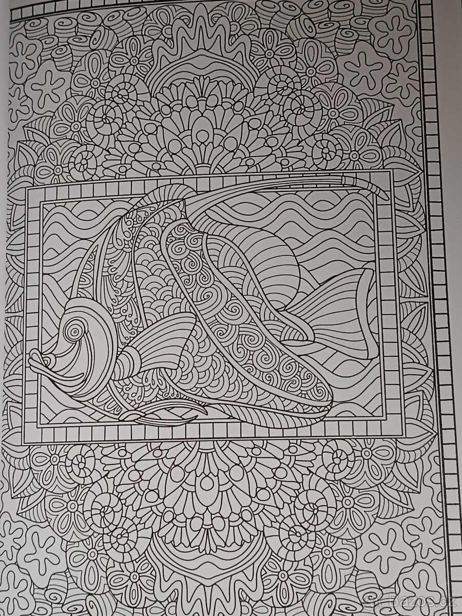 omalovánky pro dospělé-Spectacular Sea Life Designs - 13