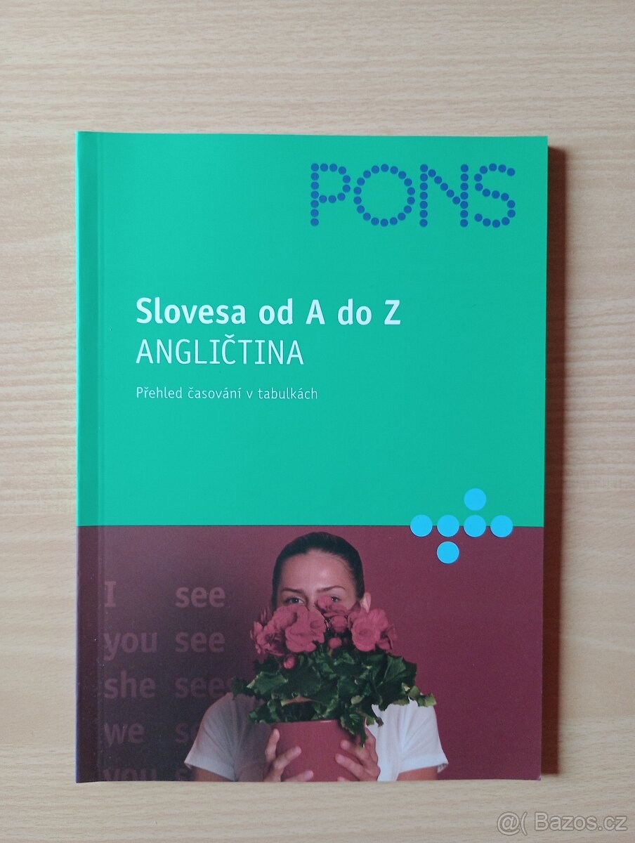 Slovníky, knihy pro samouky - 13