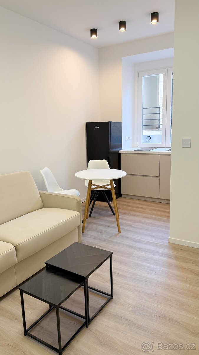 Pronajem bytu 1+kk 18,2 m² Ortenovo náměstí - Holešovice - 13