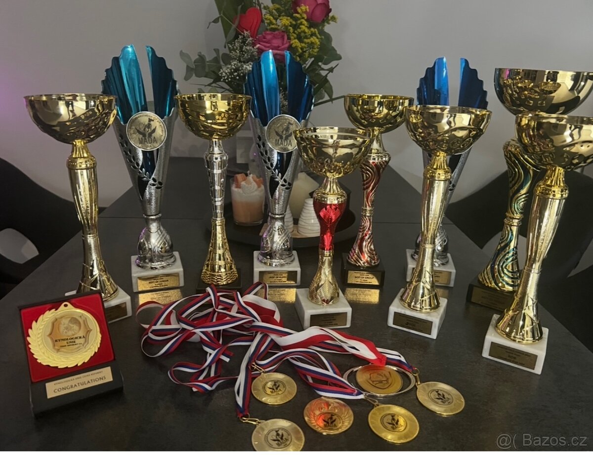 AMERICAN BULLY POCKET KRYTÍ - 13