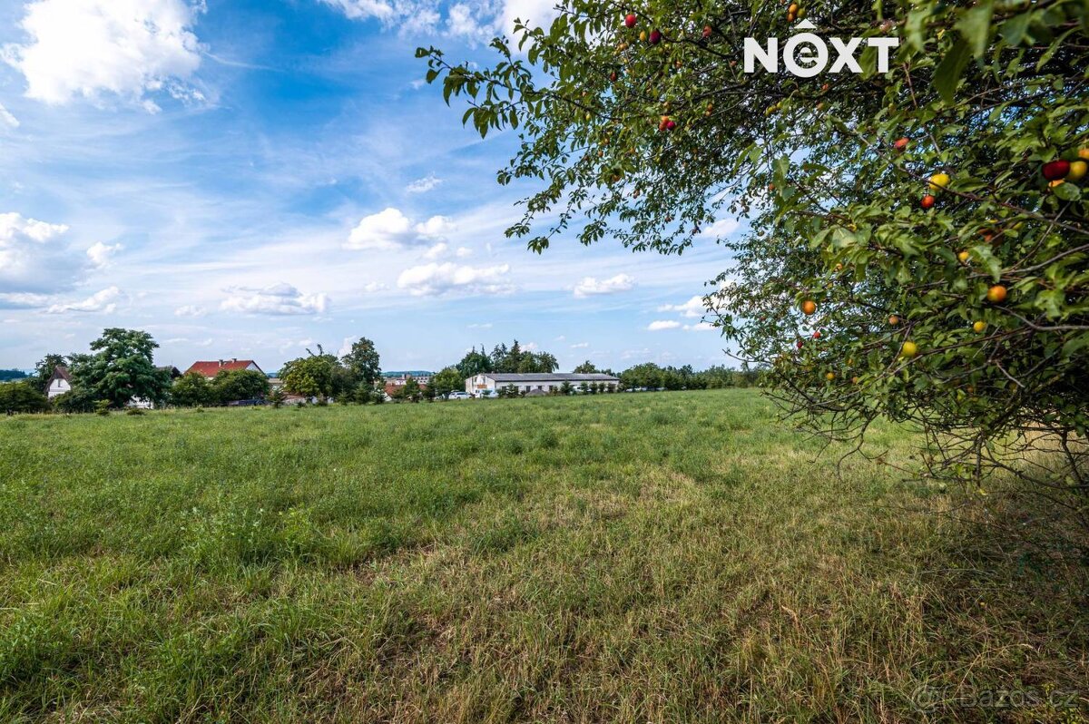 Prodej pozemek Bydlení, 9158㎡ - 13