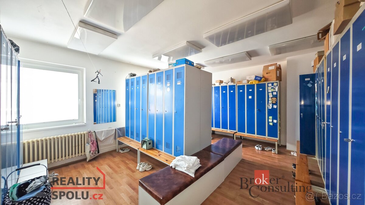 Prodej, komerční/obchodní prostory, 740 m2, V Ráji 906, Zele - 13