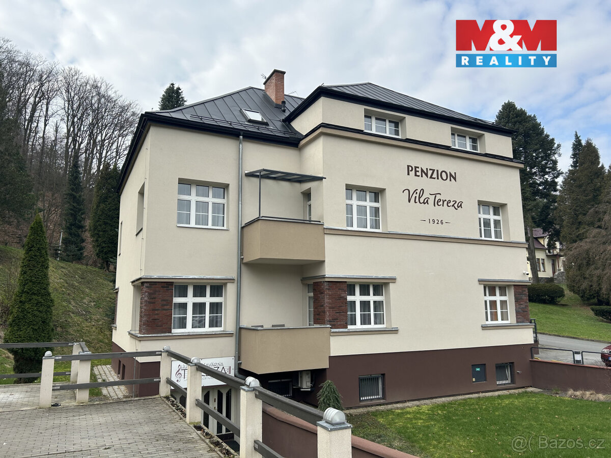 Pronájem restaurace, 120 m², Hranice, Tř. generála Svobody - 13