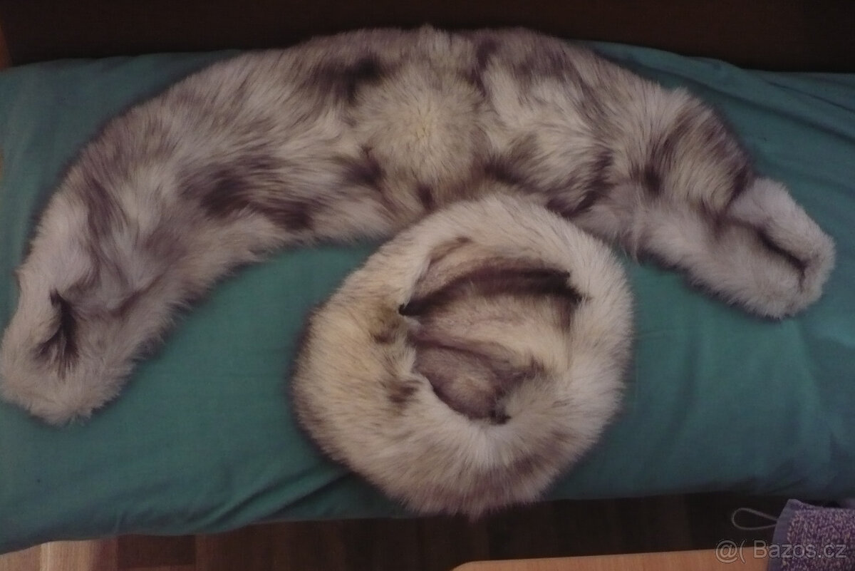 stříbrná liška a kožený kabát - 13