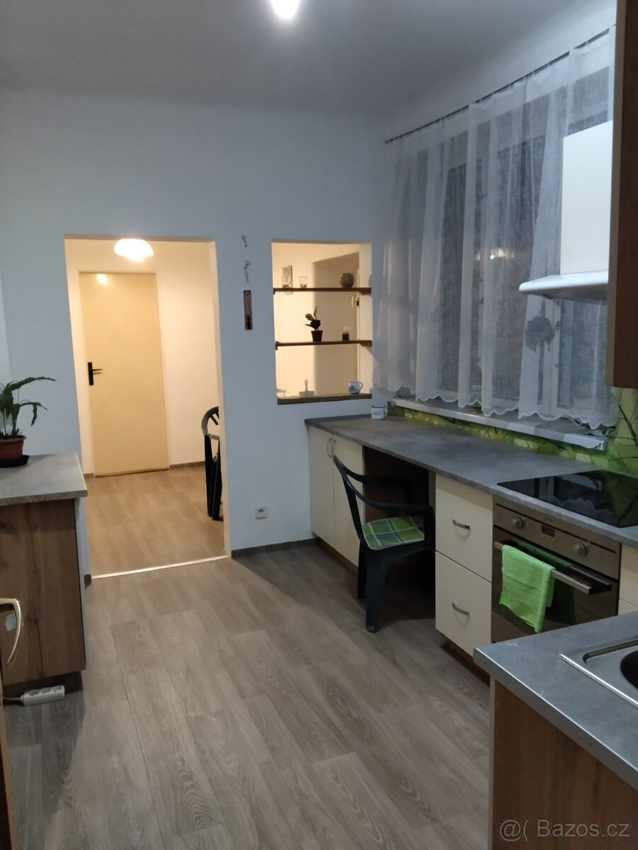 Dům se zahradou ve Vodňanech - 13